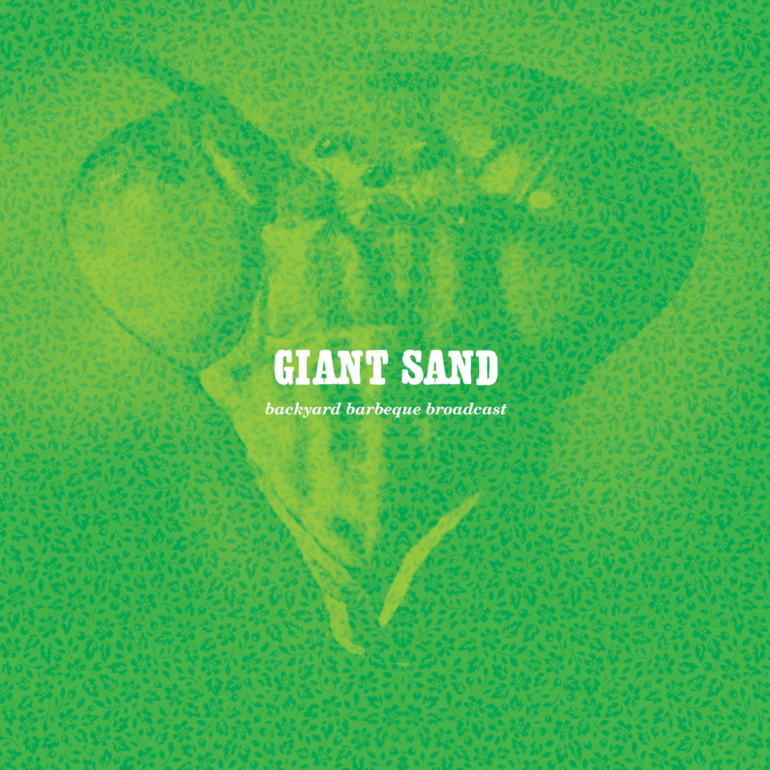 Giant Sand Backyard BBQ Broadcast 25th Anniversary Edition CD