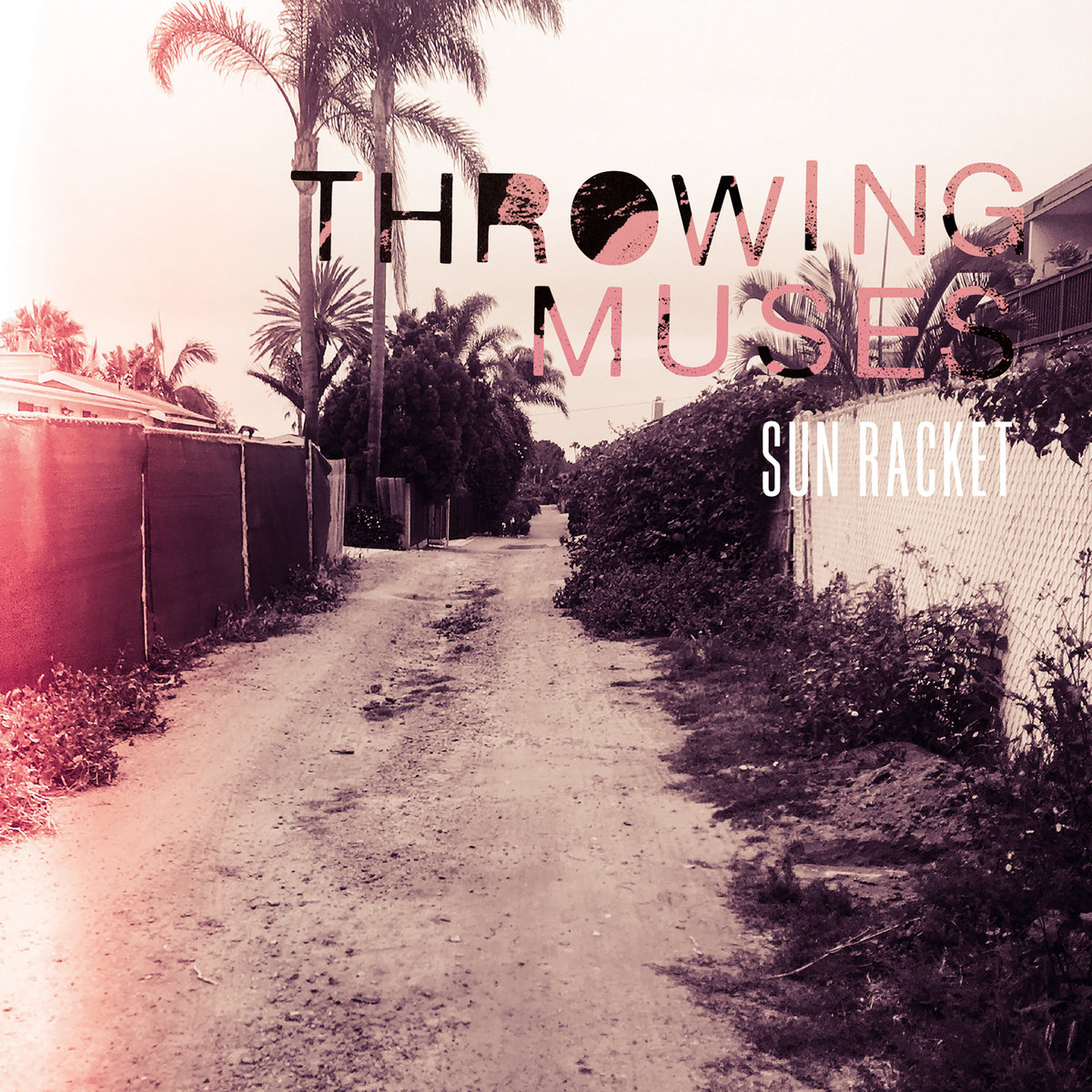 公式通販サイトセール Racket Sun – Muses Throwing – RECORDS FIRE その他